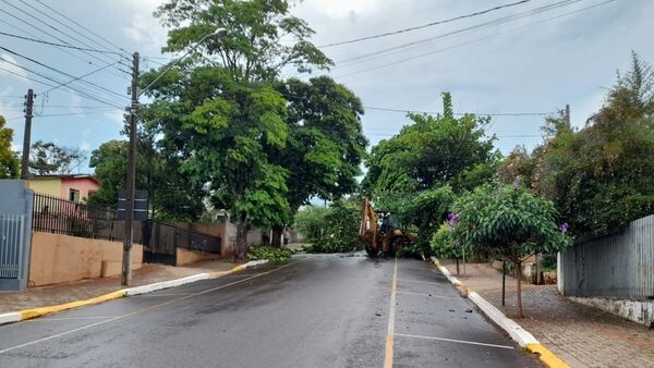 prefeitura-trabalha-na-retirada-de-arvores-que-cairam-devido-a-forte-chuva