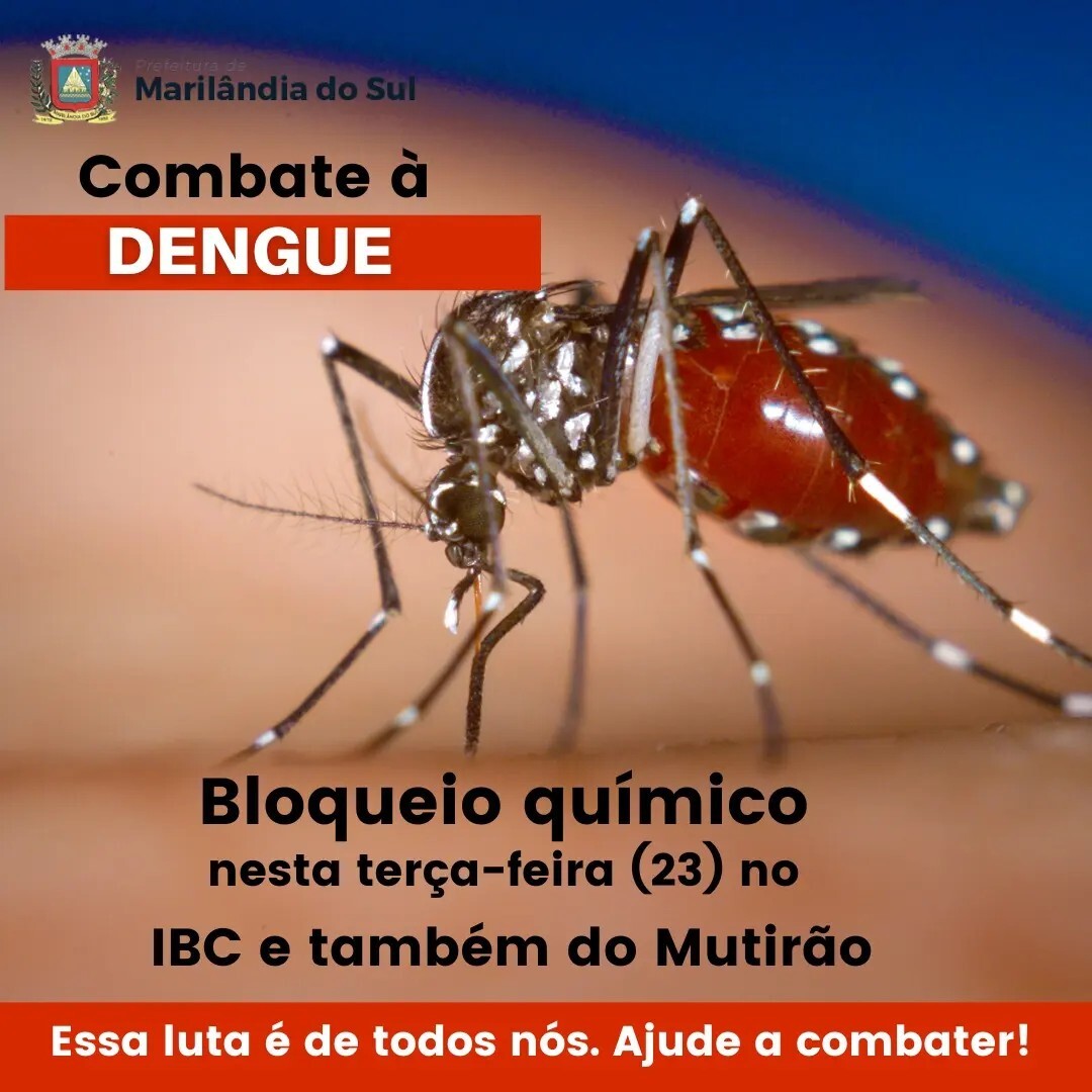 combate-a-dengue-bloqueio-quimico-sera-realizado-nesta-terca-feira