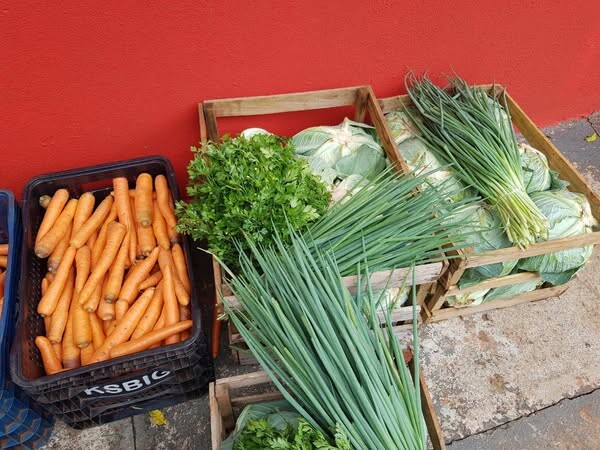 base-da-alimentacao-escolar-em-marilandia-do-sul-vem-da-agricultura-familiar