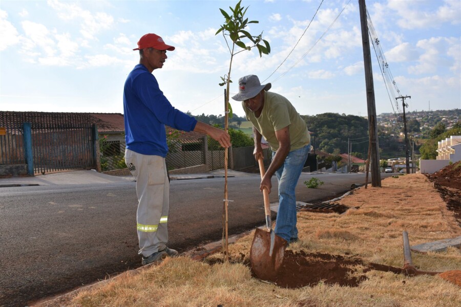 morada-do-sol-recebe-projeto-de-arborizacao