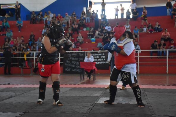 centenas-de-atletas-participaram-do-1-campeonato-de-kung-fu-de-marilandia-do-sul