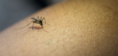 Prefeitura alerta sobre a dengue no município